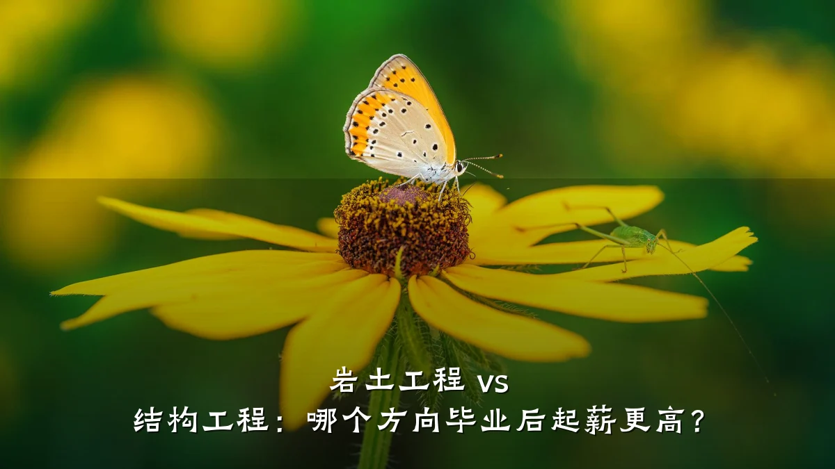 岩土工程 vs 结构工程:哪个方向毕业后起薪更高?
