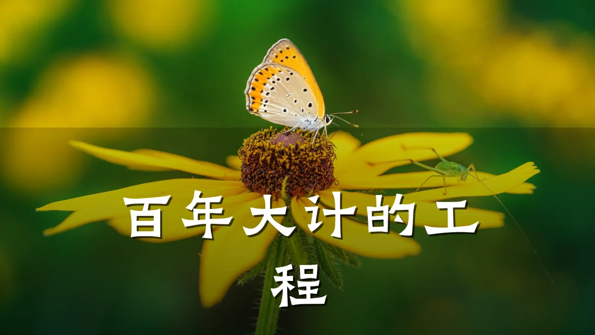 百年大计的工程