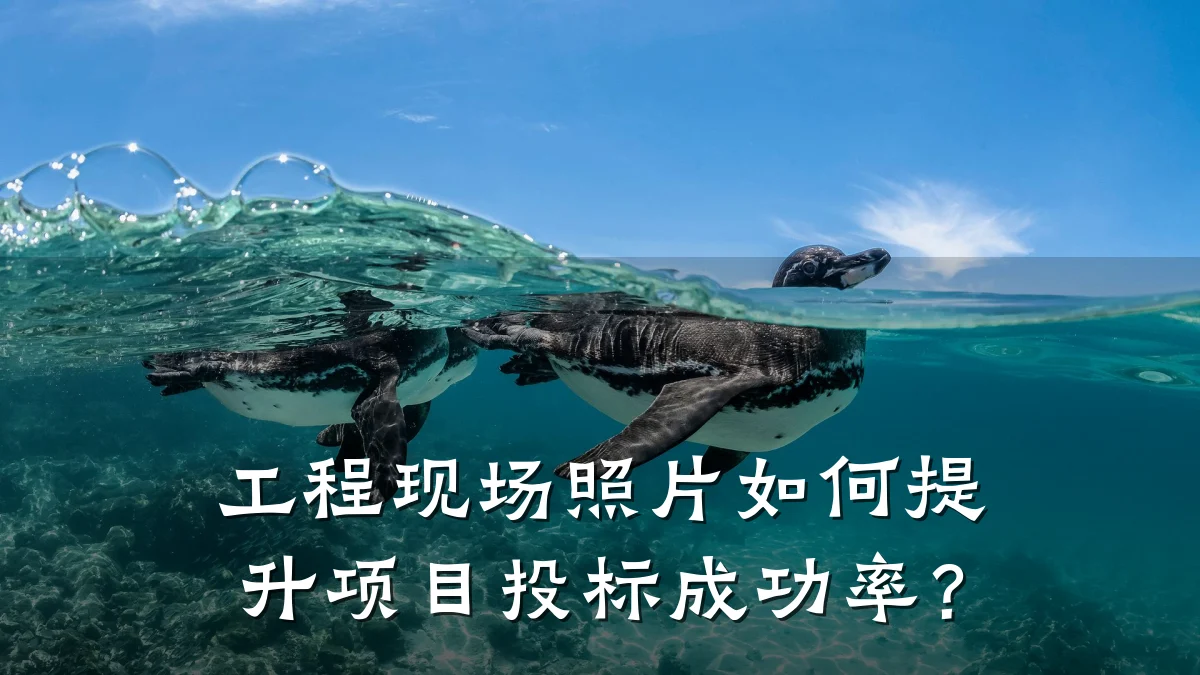 工程现场照片如何提升项目投标成功率?