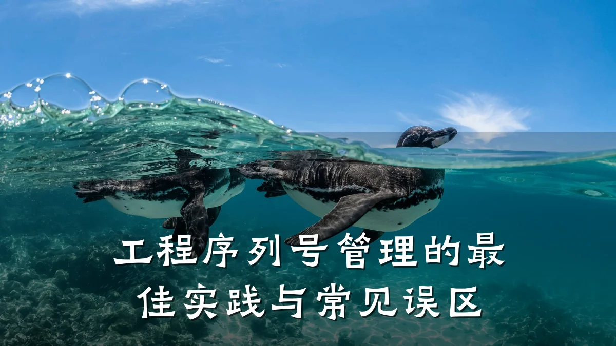 工程序列号管理的最佳实践与常见误区