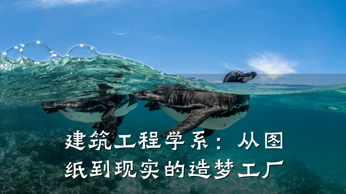 建筑工程学系:从图纸到现实的造梦工厂