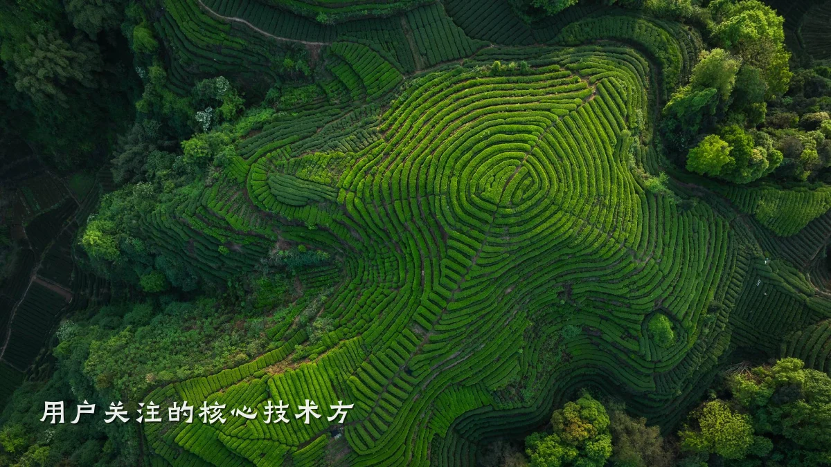 用户关注的核心技术方