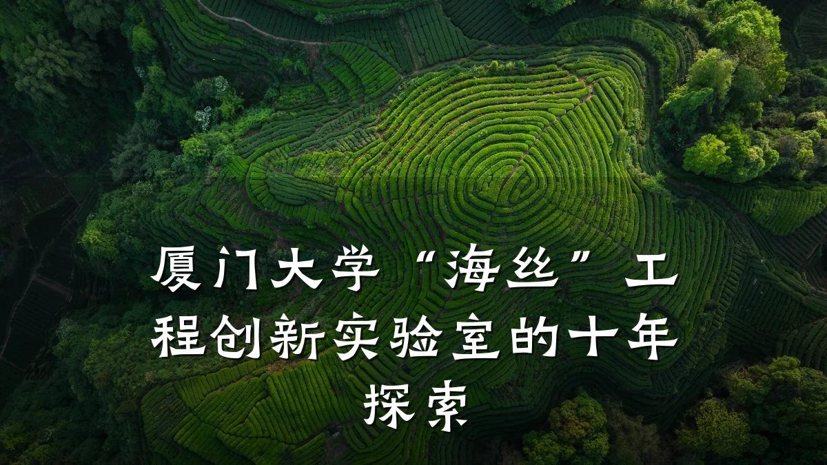 厦门大学“海丝”工程创新实验室的十年探索