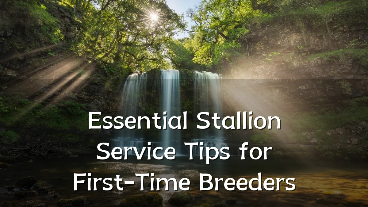 Essential Stallion Service Tips for First-Time Breeders