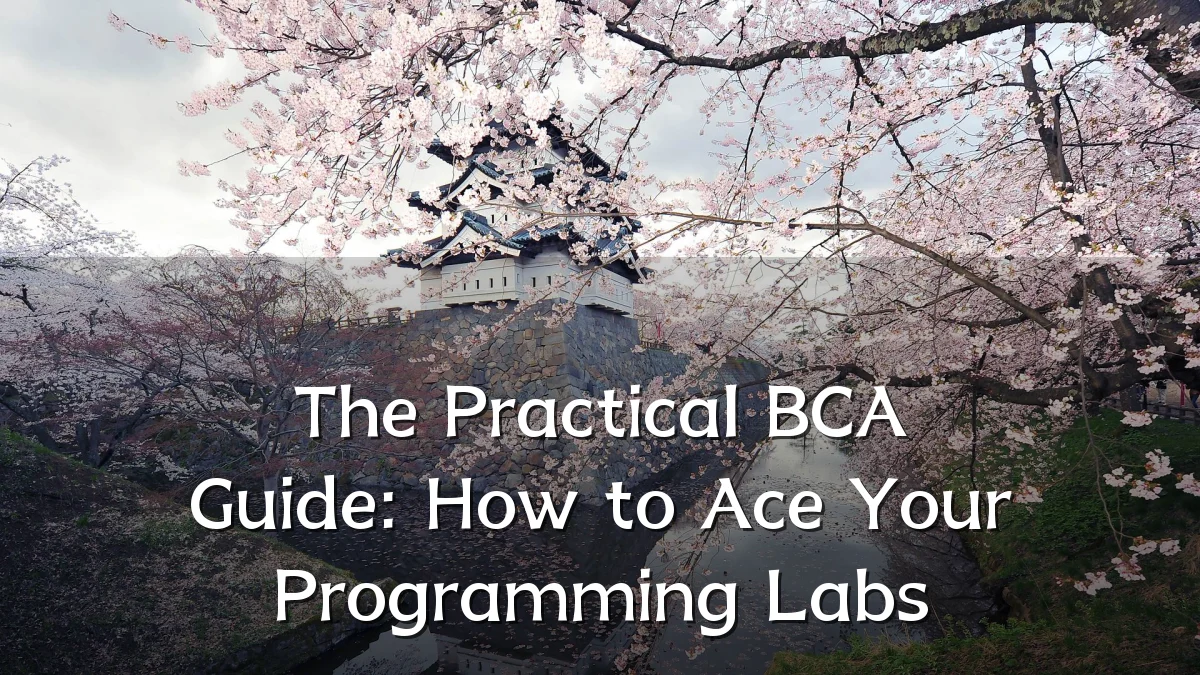 The Practical BCA Guide: How to Ace Your Programming Labs