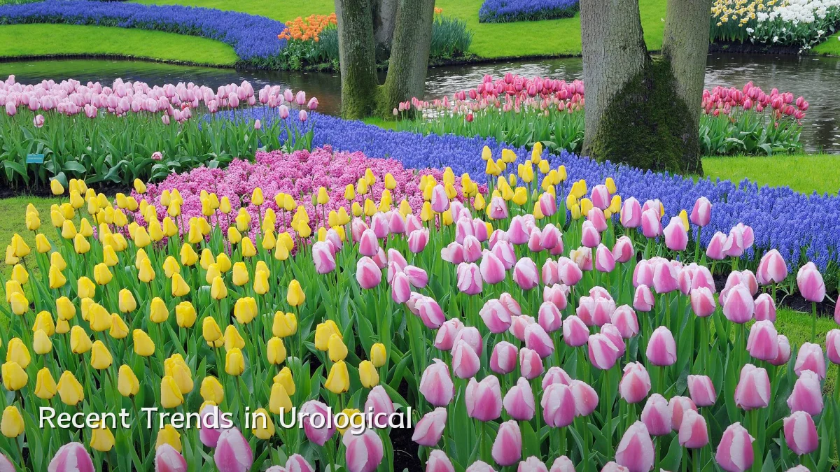 Recent Trends in Urological