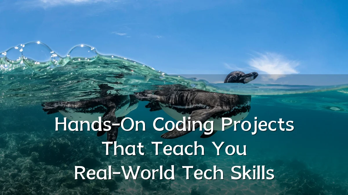 Hands-On Coding Projects That Teach You Real-World Tech Skills