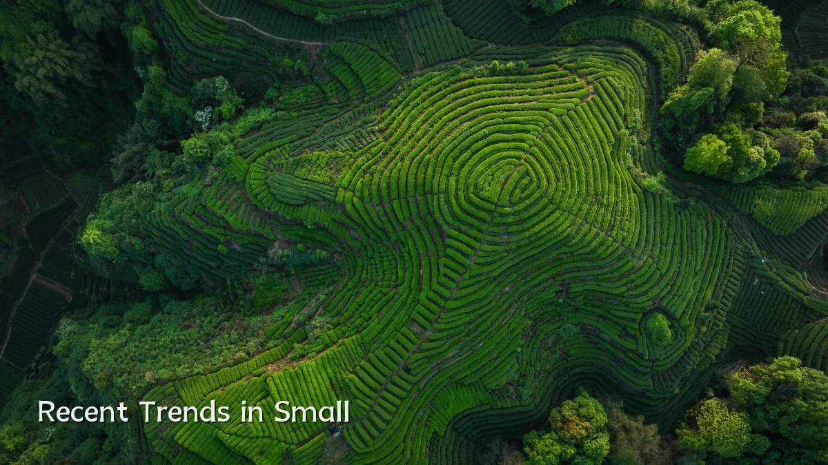 Recent Trends in Small