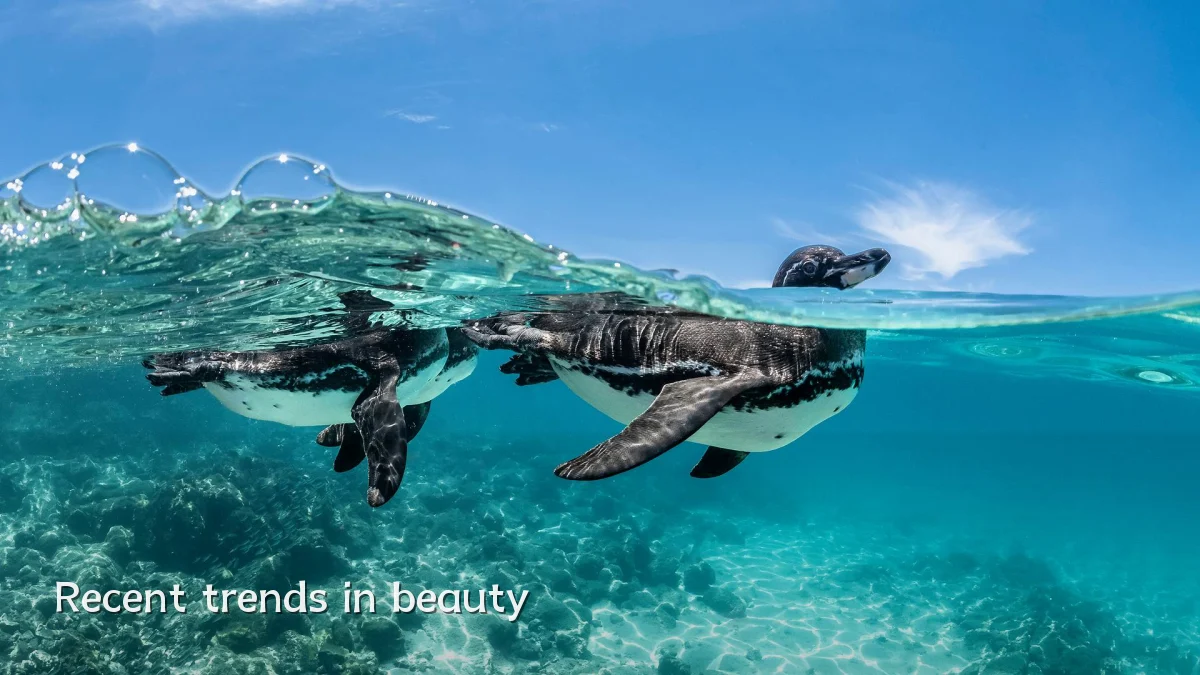 Recent trends in beauty