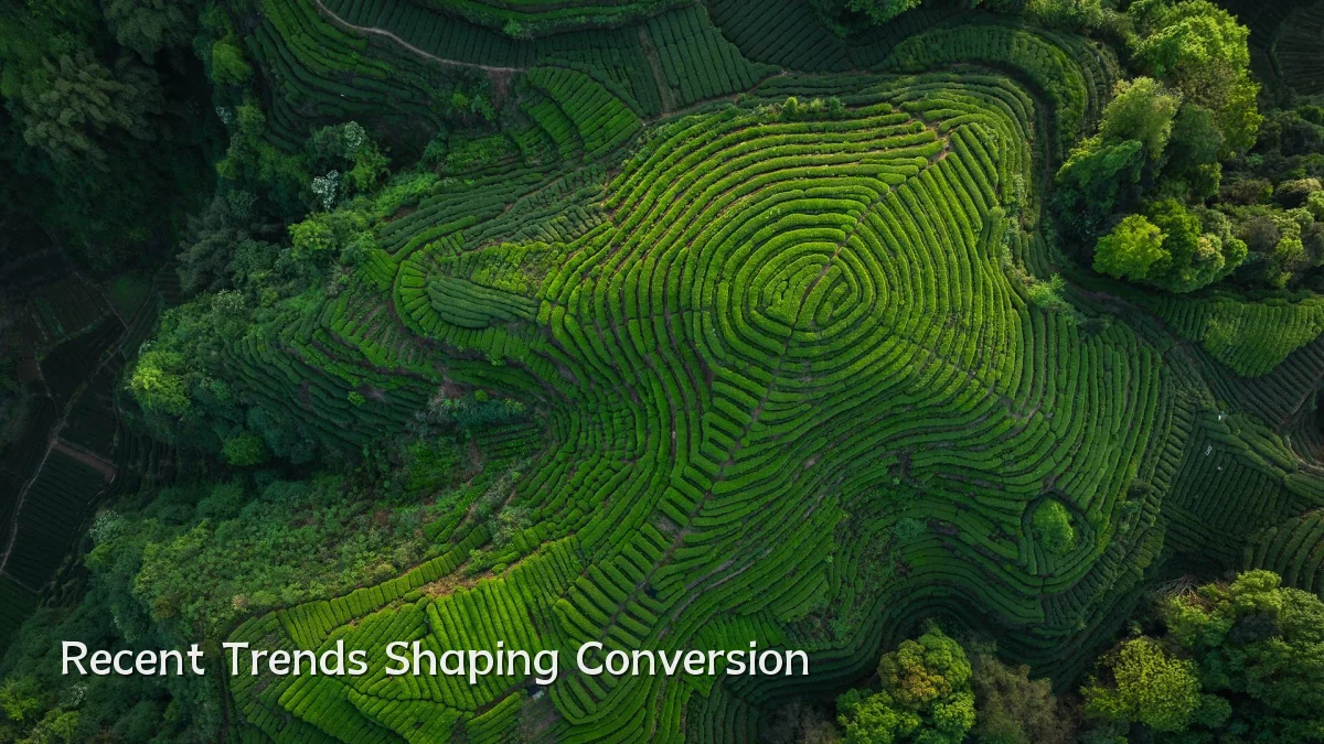 Recent Trends Shaping Conversion
