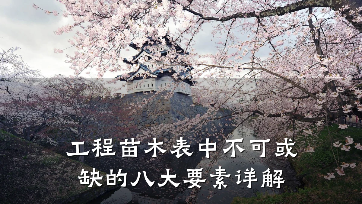 工程苗木表中不可或缺的八大要素详解