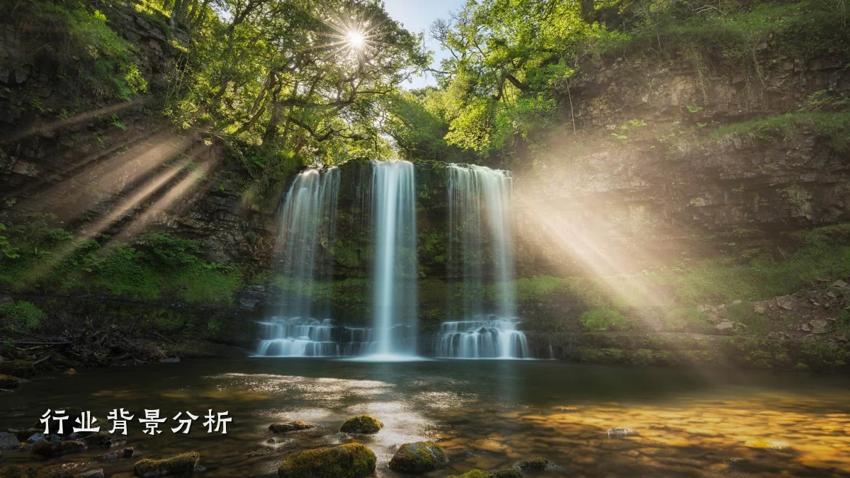 行业背景分析