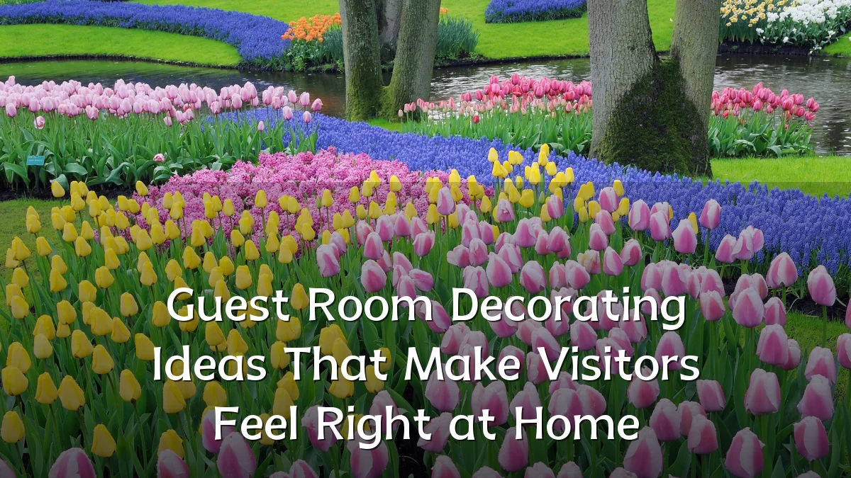 Guest Room Decorating Ideas That Make Visitors Feel Right at Home