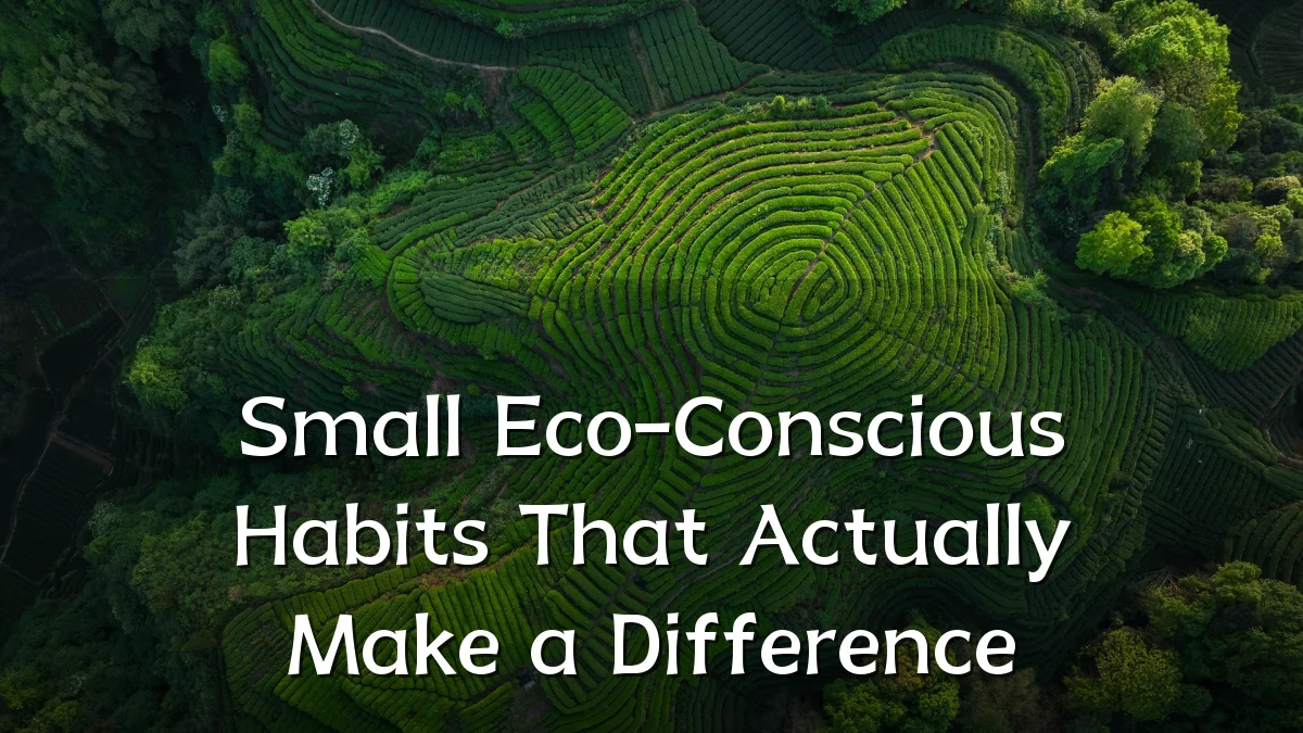 Small Eco-Conscious Habits That Actually Make a Difference